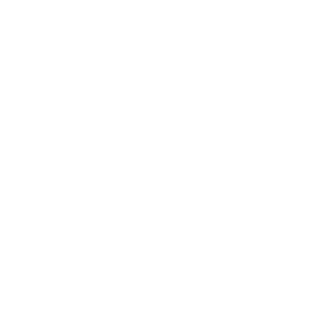 HostPro logo